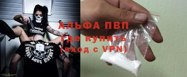 молекула духа Ростов
