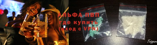 молекула духа Ростов
