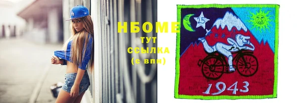 стафф Россошь