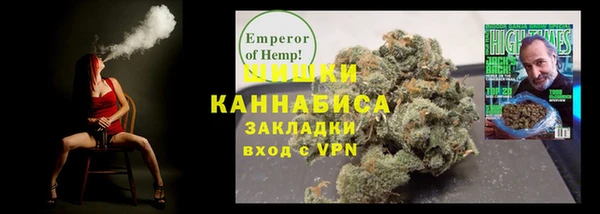 стафф Россошь