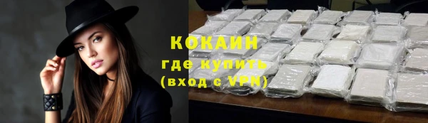 молекула духа Ростов