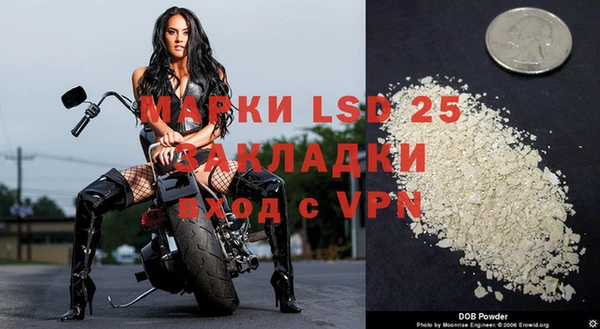 молекула духа Ростов