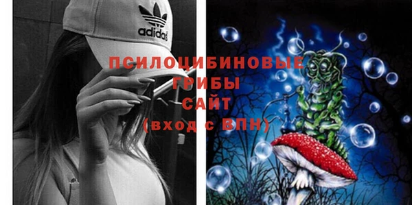 стафф Россошь