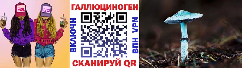 наркошоп  kraken ССЫЛКА  Псилоцибиновые грибы GOLDEN TEACHER  Сухой Лог 